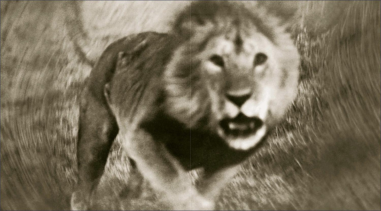 Peter Beard. The End of the Game (English)