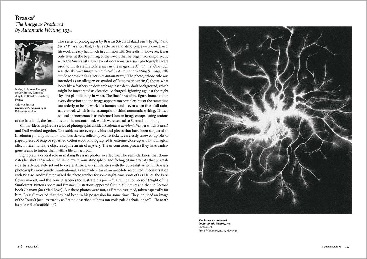 Art for All. Art History (English)