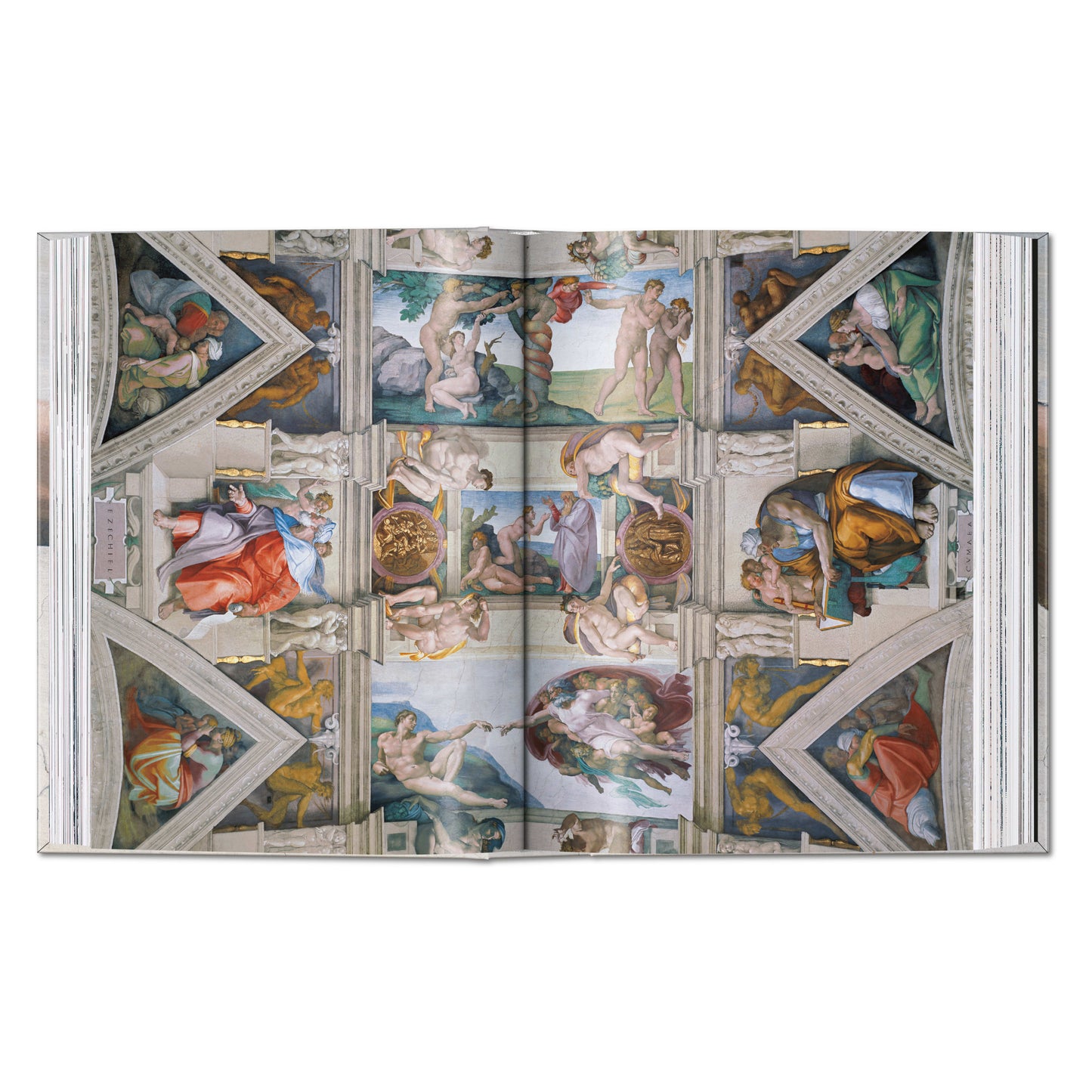 Michelangelo. Paintings, Sculptures, Architecture. 45th Ed. (English)