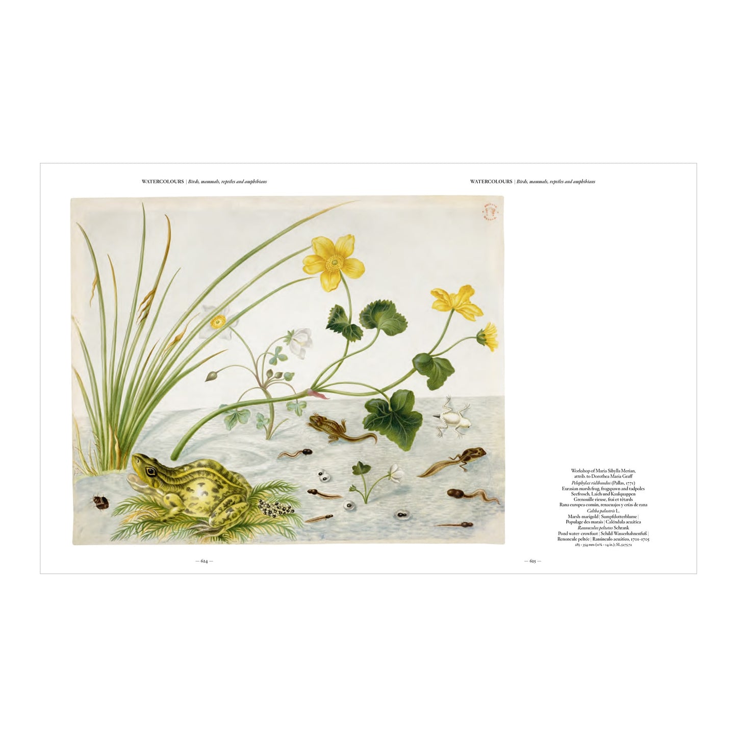 Merian (German, Spanish, French, English)