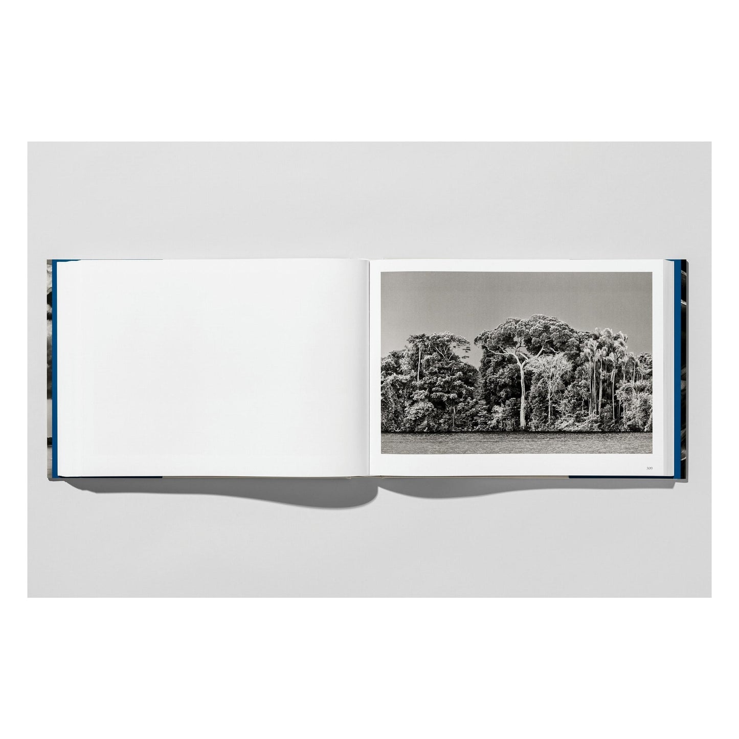 Sebastião Salgado. Amazônia (French)