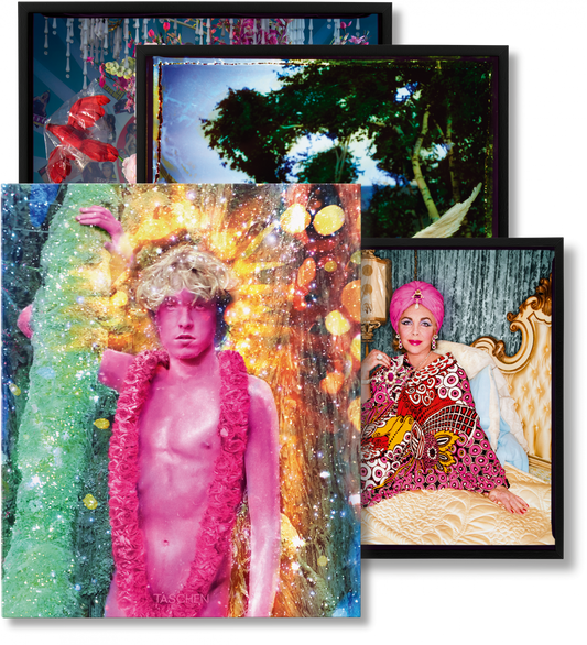 David LaChapelle. Lost and Found – Good News, Art Edition (German, French, English) (AP)