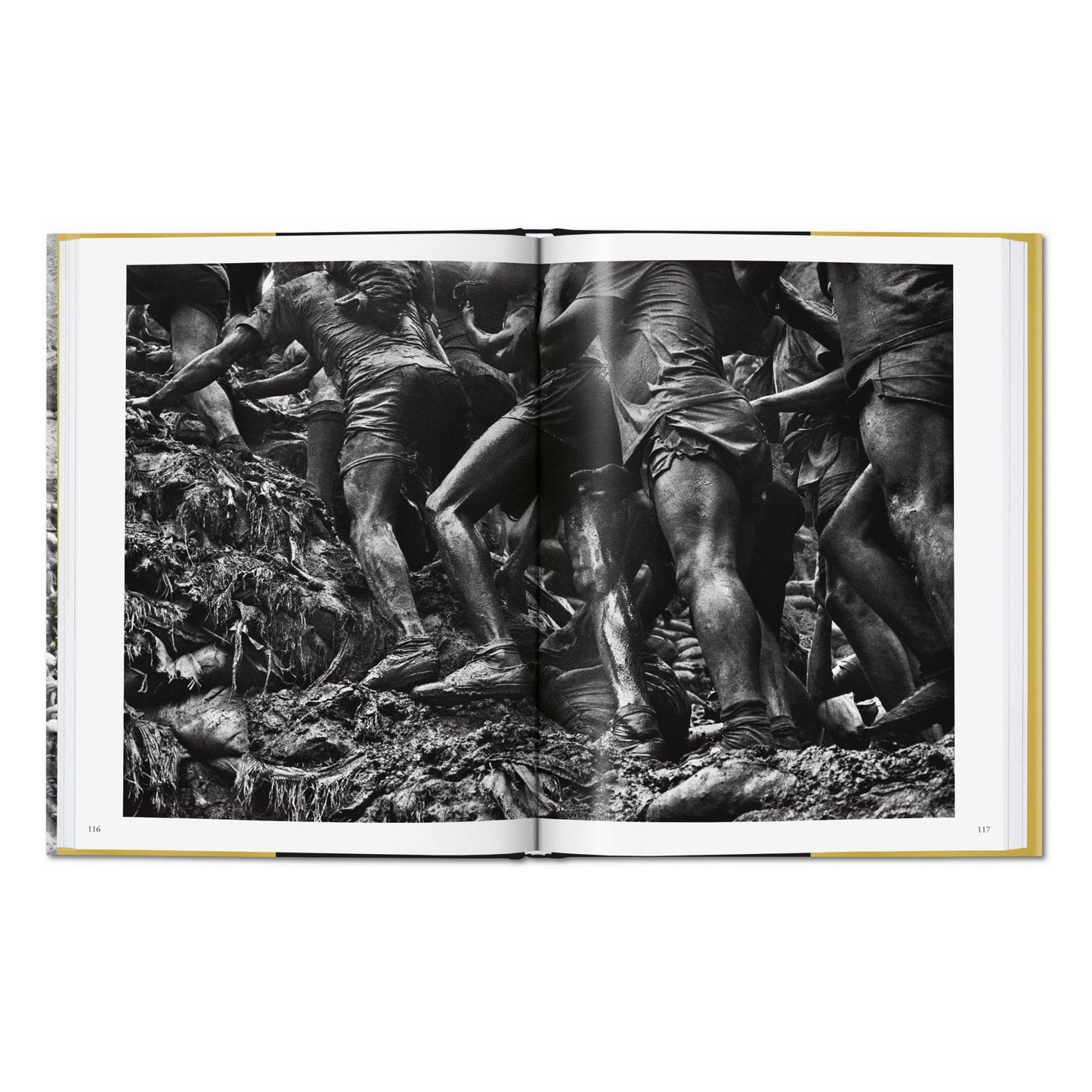 Sebastião Salgado. Gold (German, French, English)