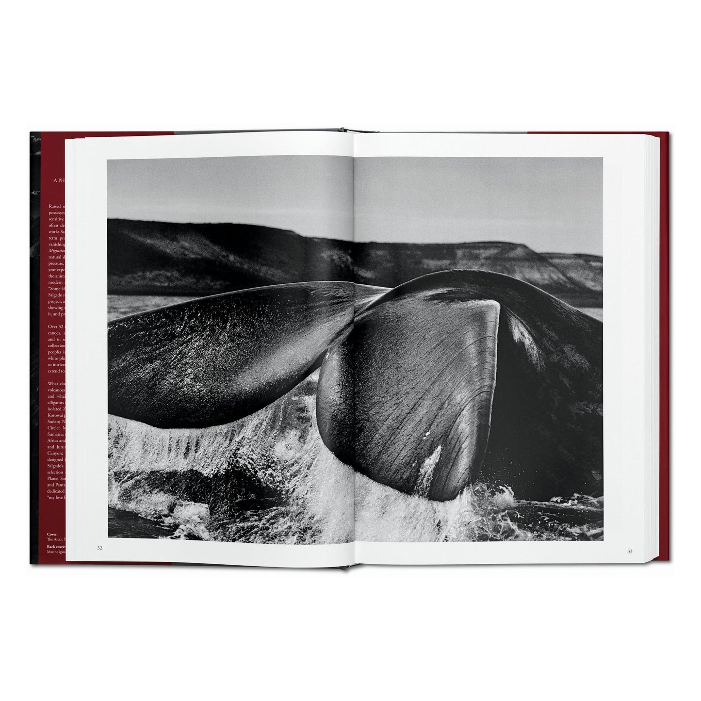 Sebastião Salgado. Genesis (English)