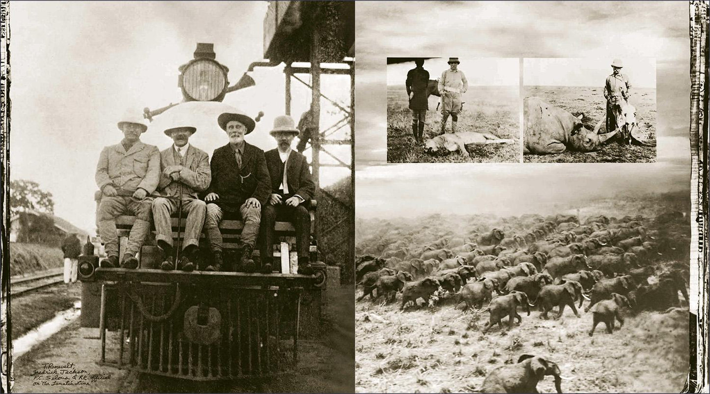 Peter Beard. The End of the Game (English)