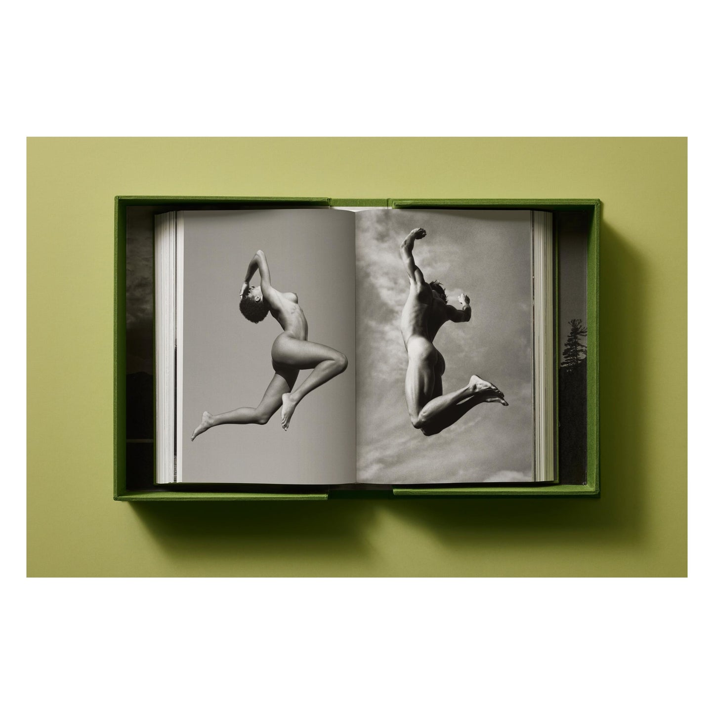 Bruce Weber. My Education. Art Edition No. 101–200, ‘Michael St. Pierre with Bonkers, Thousand Oaks, California’, 2004 (German, French, English)