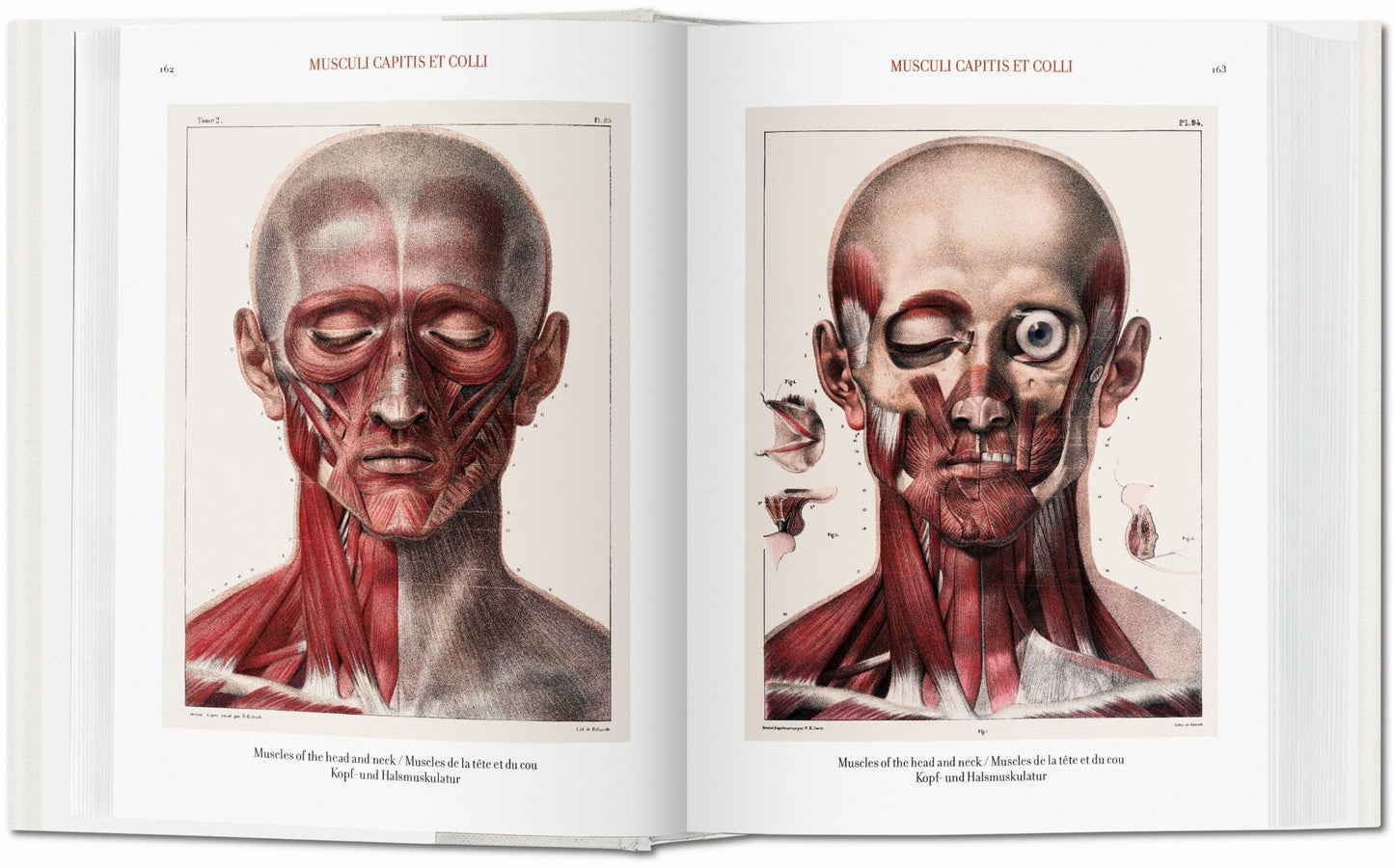 Bourgery. Atlas of Human Anatomy and Surgery (German, French, English)