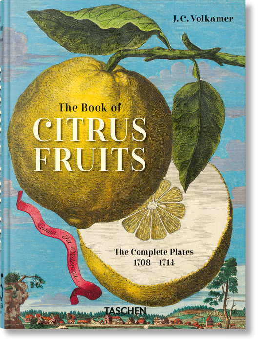 J. C. Volkamer. The Book of Citrus Fruits. 45th Ed. (German, French, English)