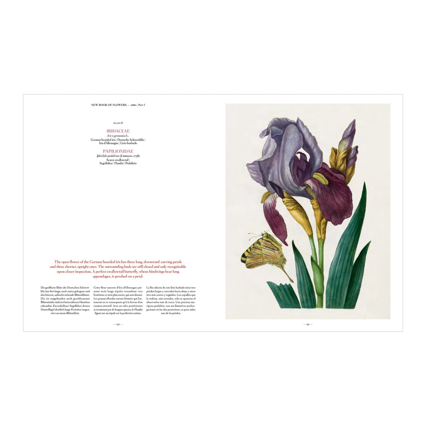 Merian (German, Spanish, French, English)