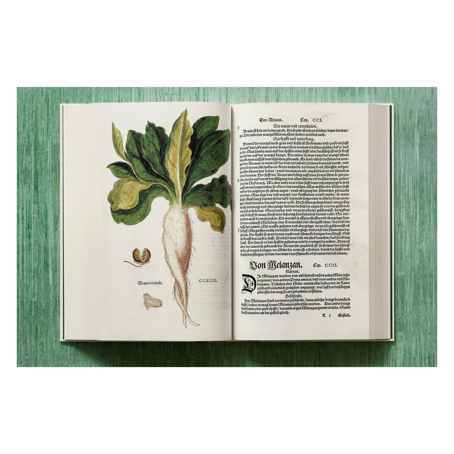 Leonhart Fuchs. Le Nouvel Herbier (French)