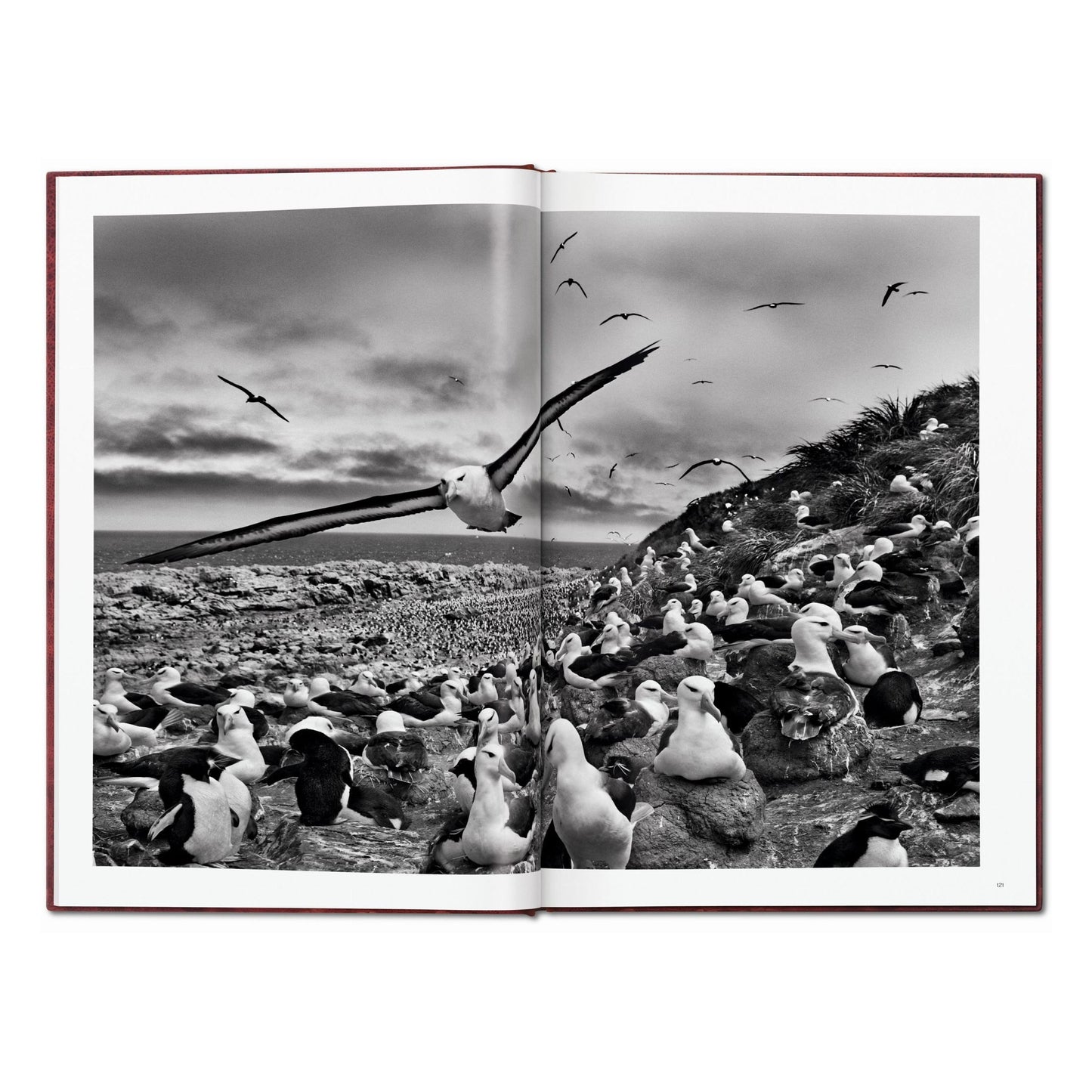 Sebastião Salgado. GENESIS, Art Edition No. 101–200 ‘North of the Ob River, Yamal Peninsula, Siberia, Russia’ (English) (AP)