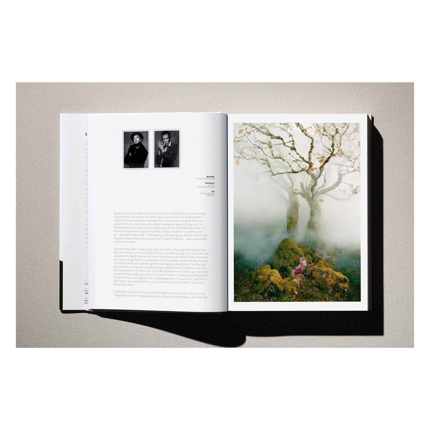 Albert Watson. Kaos. 2nd Edition. Art Edition No. 1–50, ‘Steve Jobs, Cupertino, California’, 2006 (German, French, English) (AP)
