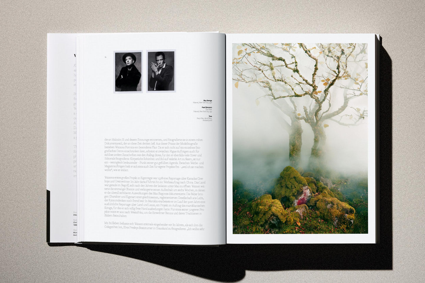 Albert Watson. Kaos. 2nd Edition. Art Edition No. 1–50, ‘Steve Jobs, Cupertino, California’, 2006 (German, French, English)