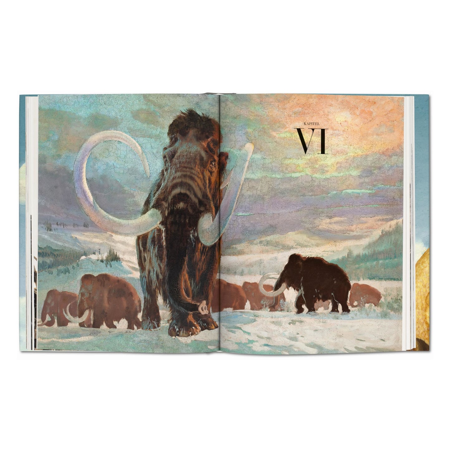 Paléoart. Visions des temps préhistoriques (French)