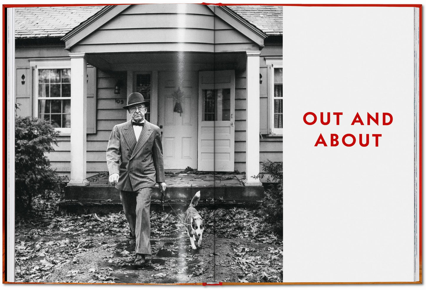 Walter Chandoha. Dogs. Photographs 1941–1991 (English)