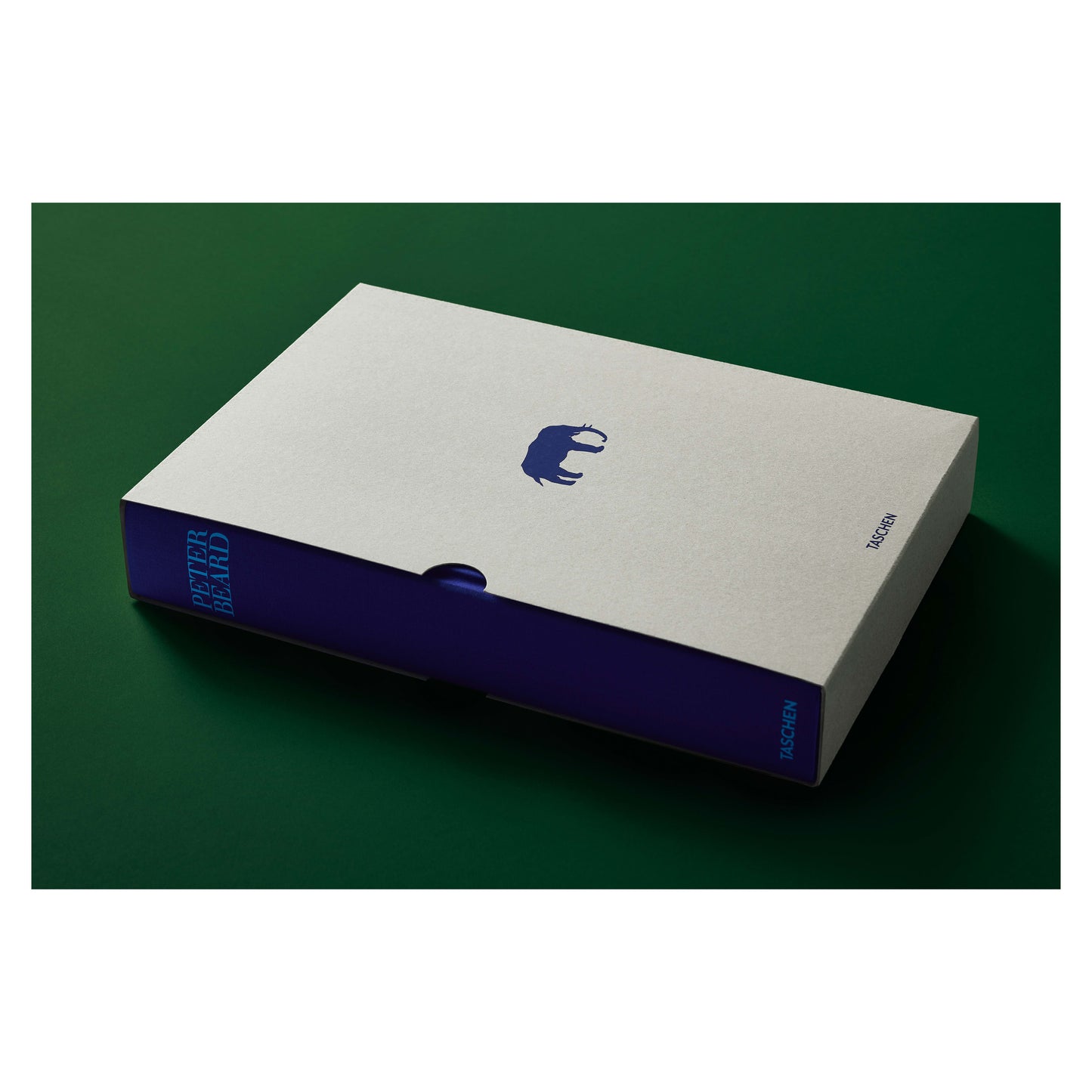 Peter Beard (German, French, English)