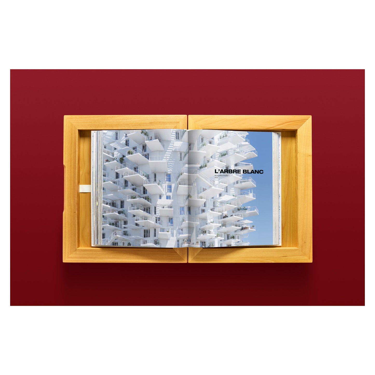 Fujimoto. Complete Works 1994–Today. Art Edition No. 1–200, ‘The Grand Ring’ (German, French, English)
