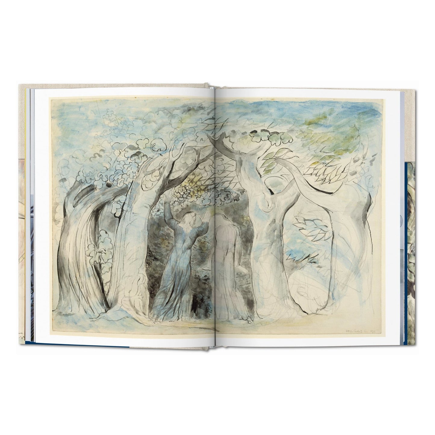 William Blake. Dante’s ‘Divine Comedy’. The Complete Drawings (Spanish)