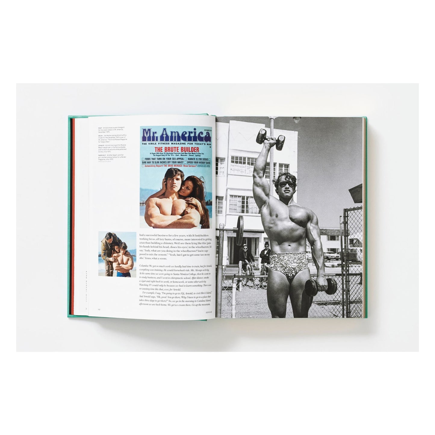 ARNOLD. Capitello Edition (English) (SA)
