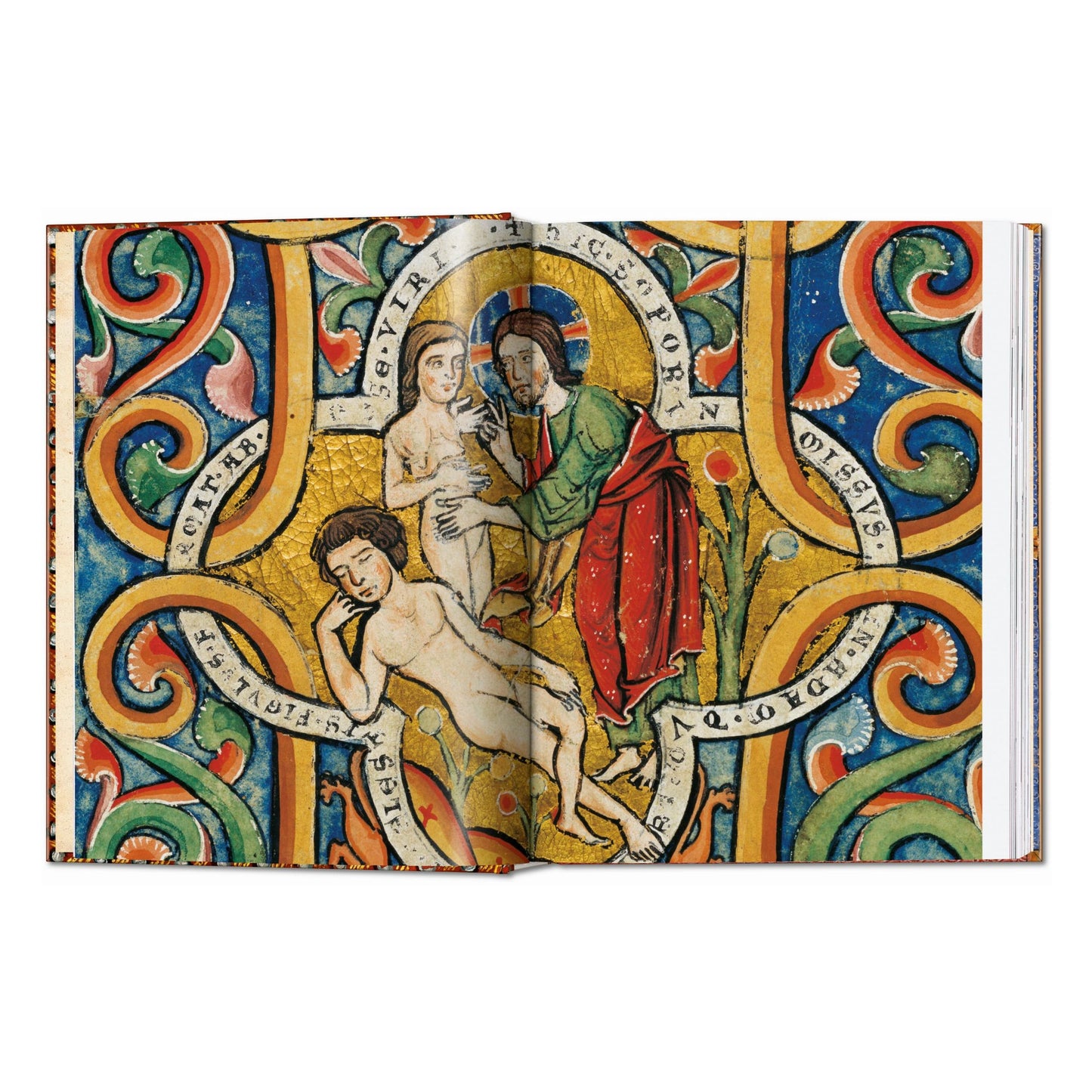 Le Livre des Bibles. 40th Ed. (French)