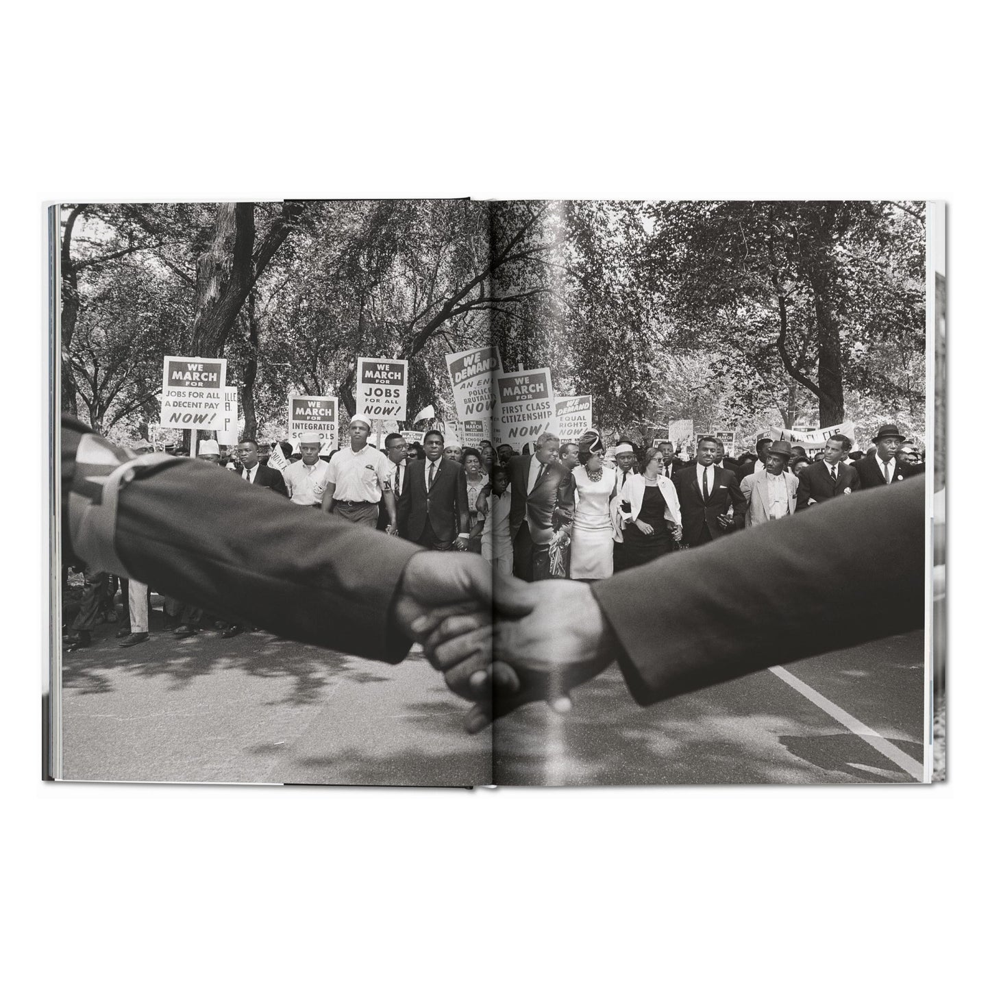James Baldwin. Steve Schapiro. The Fire Next Time (English)