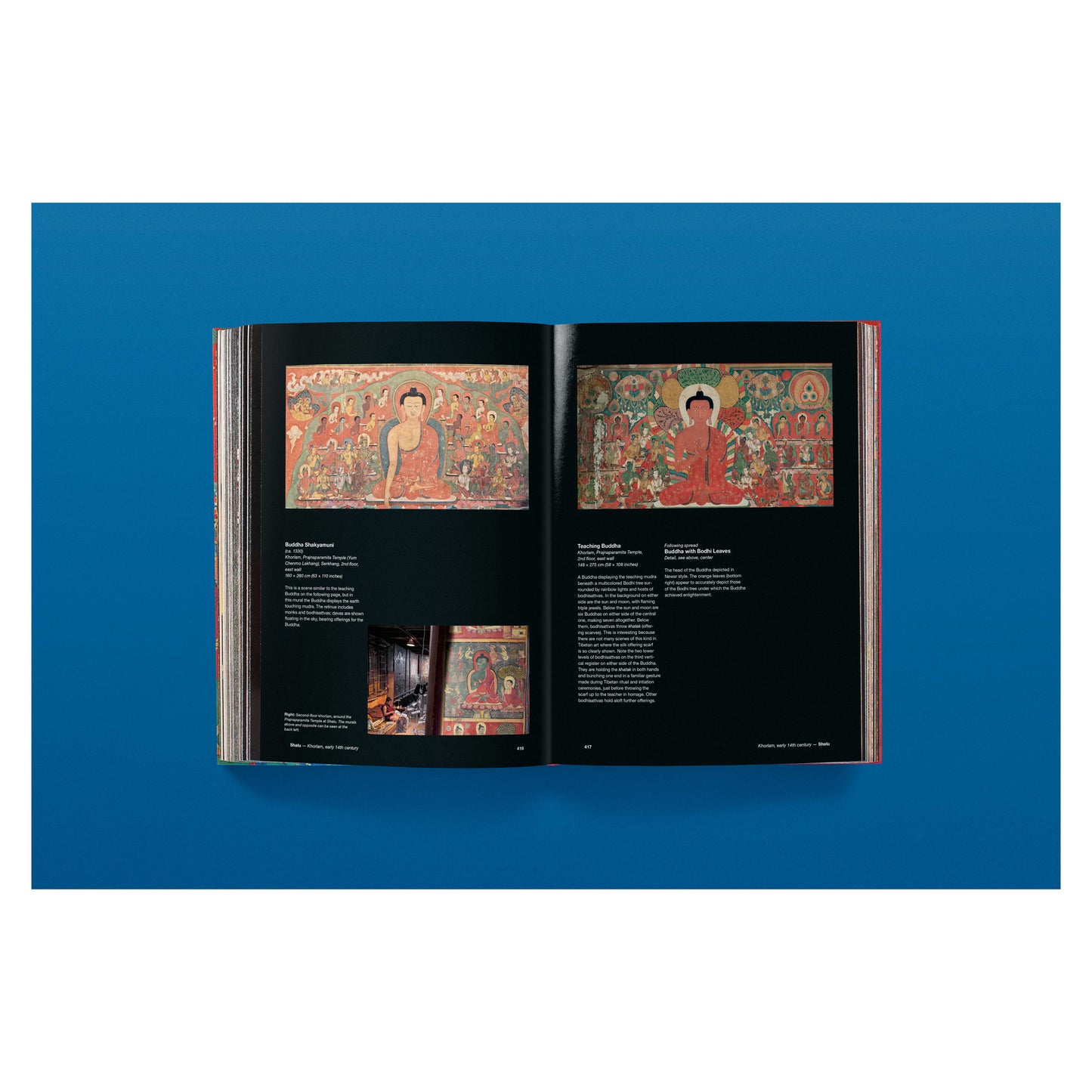 Murals of Tibet. BABY SUMO (English)