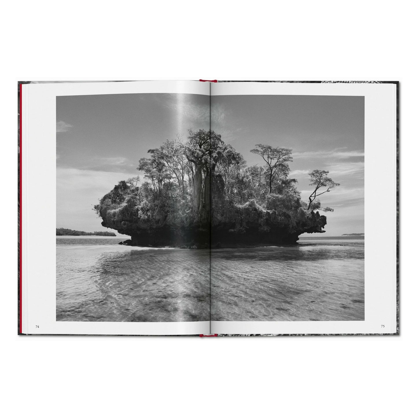 Sebastião Salgado. Genesis (French)