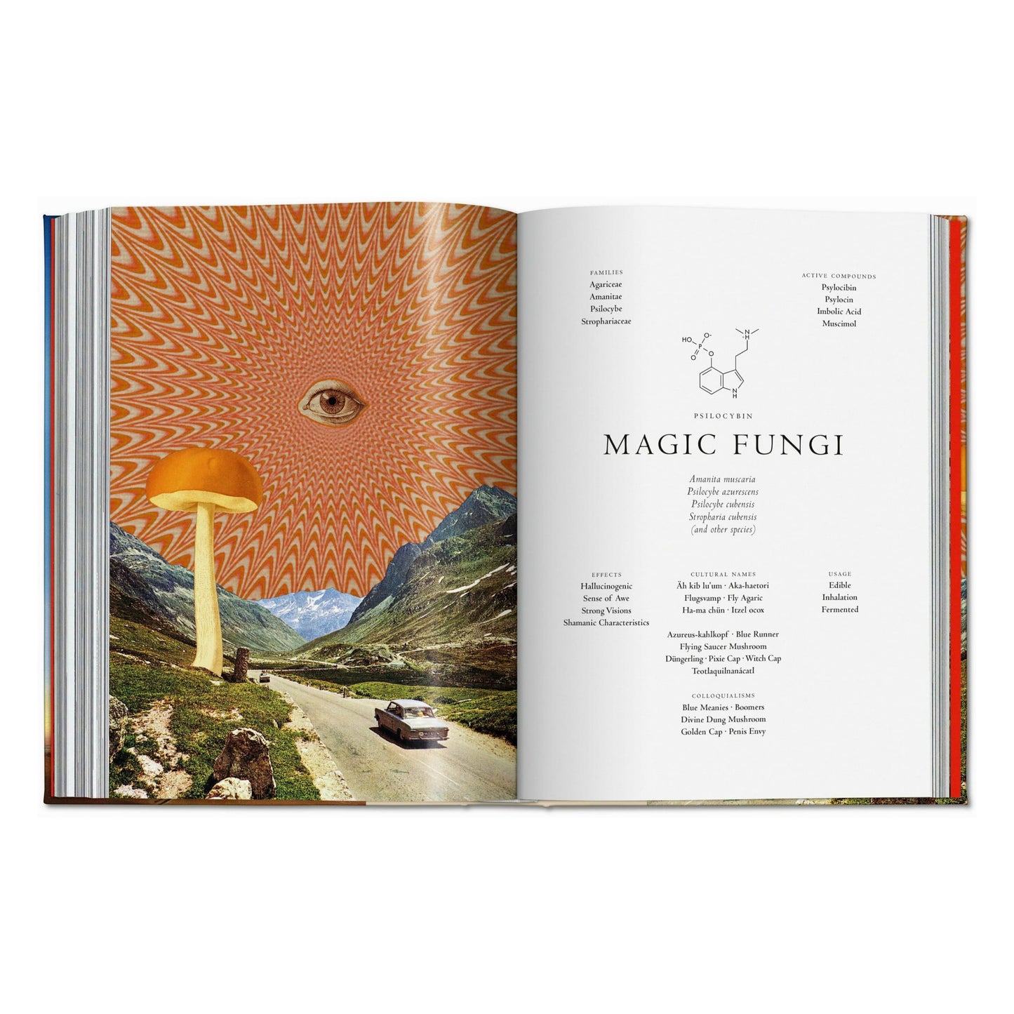 Magie des plantes. La Bibliothèque de l'Ésotérisme (French)