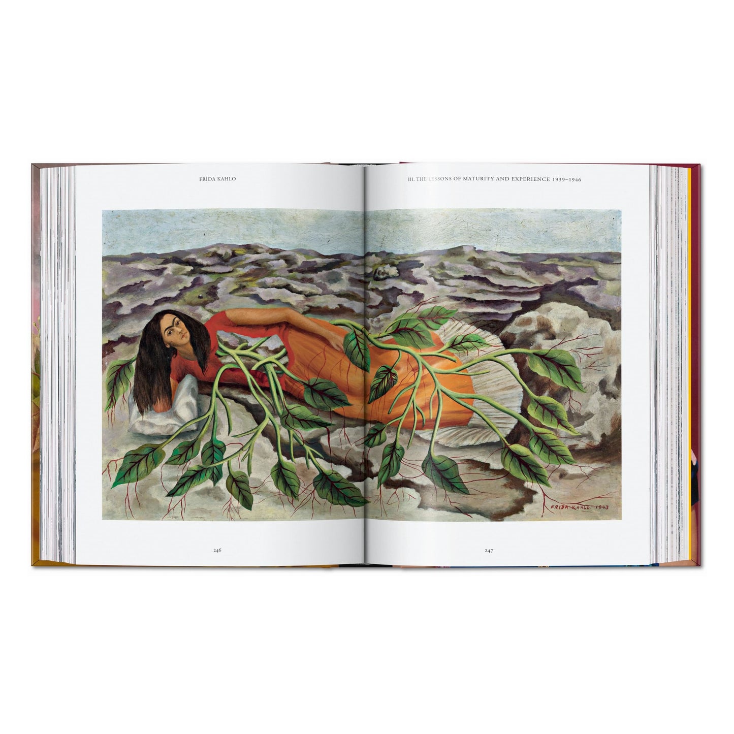 Frida Kahlo. 40th Ed. (Spanish)