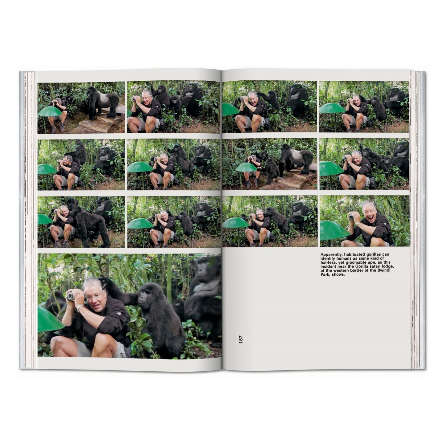Koolhaas. Countryside, A Report (English)
