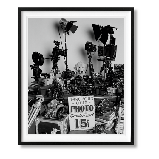 Bruce Weber. The Golden Retriever Photographic Society. Art Edition No. 101–200 ‘Hud, New York City, 2011’ (German, French, English) (AP)