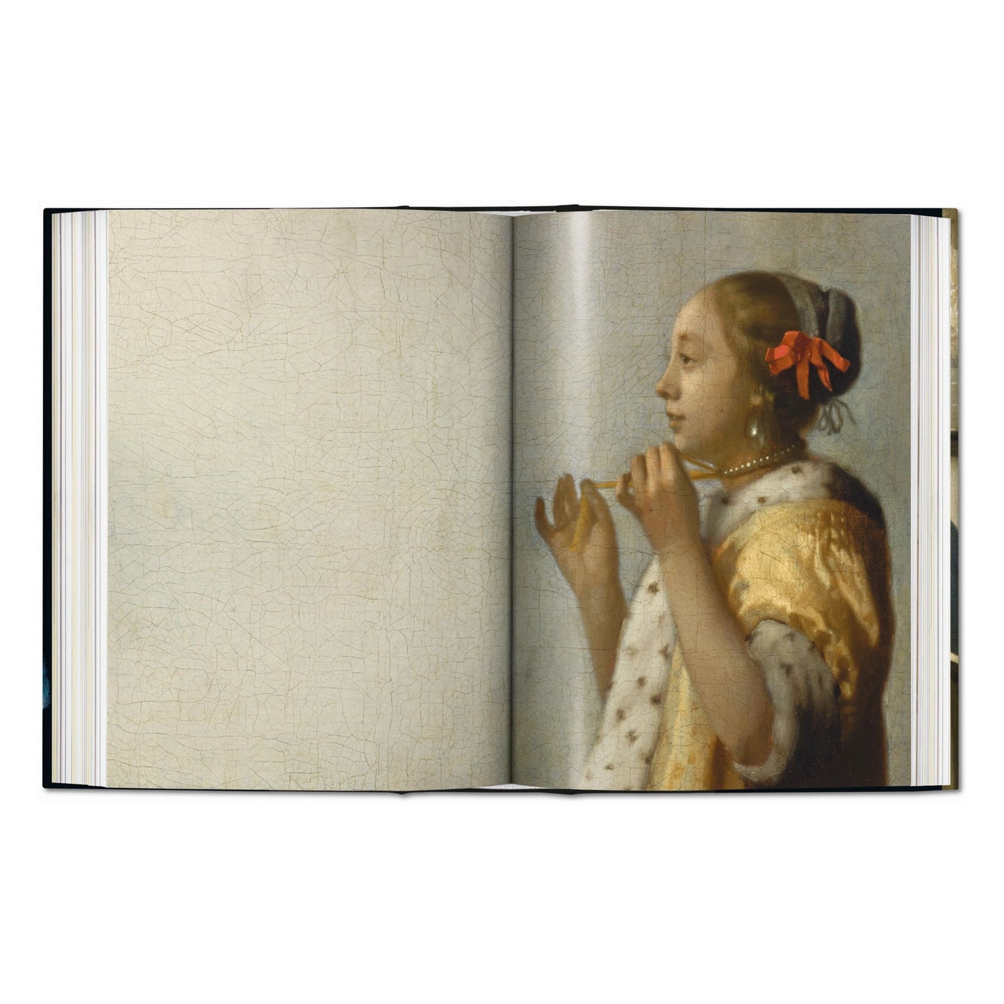 Vermeer. L'œuvre complet. 40th Ed. (French)