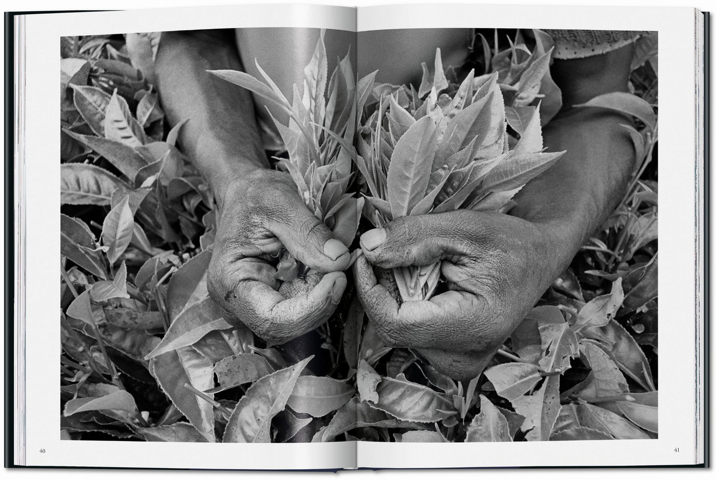 Sebastião Salgado. La main de l'homme. Une archéologie de l'ère industrielle (French)