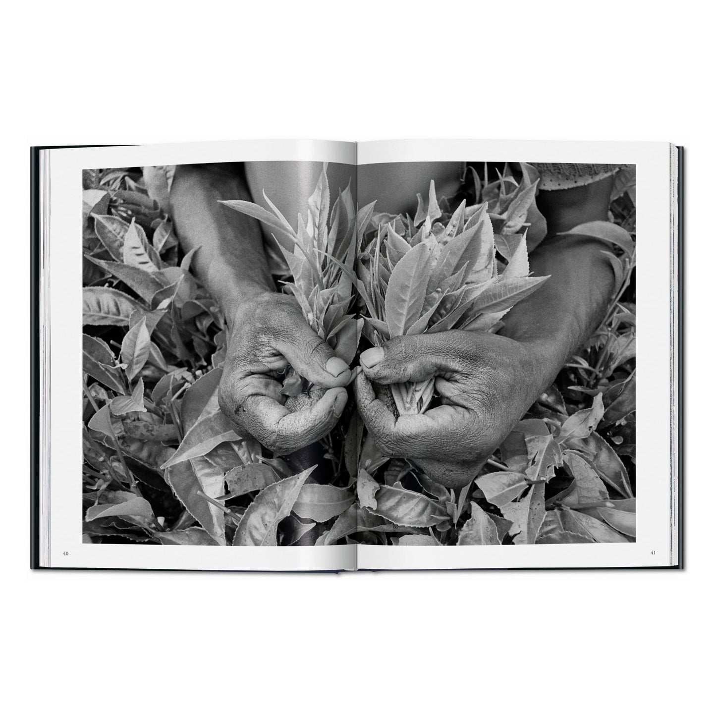 Sebastião Salgado. Arbeiter. Zur Archäologie des Industriezeitalters (German)