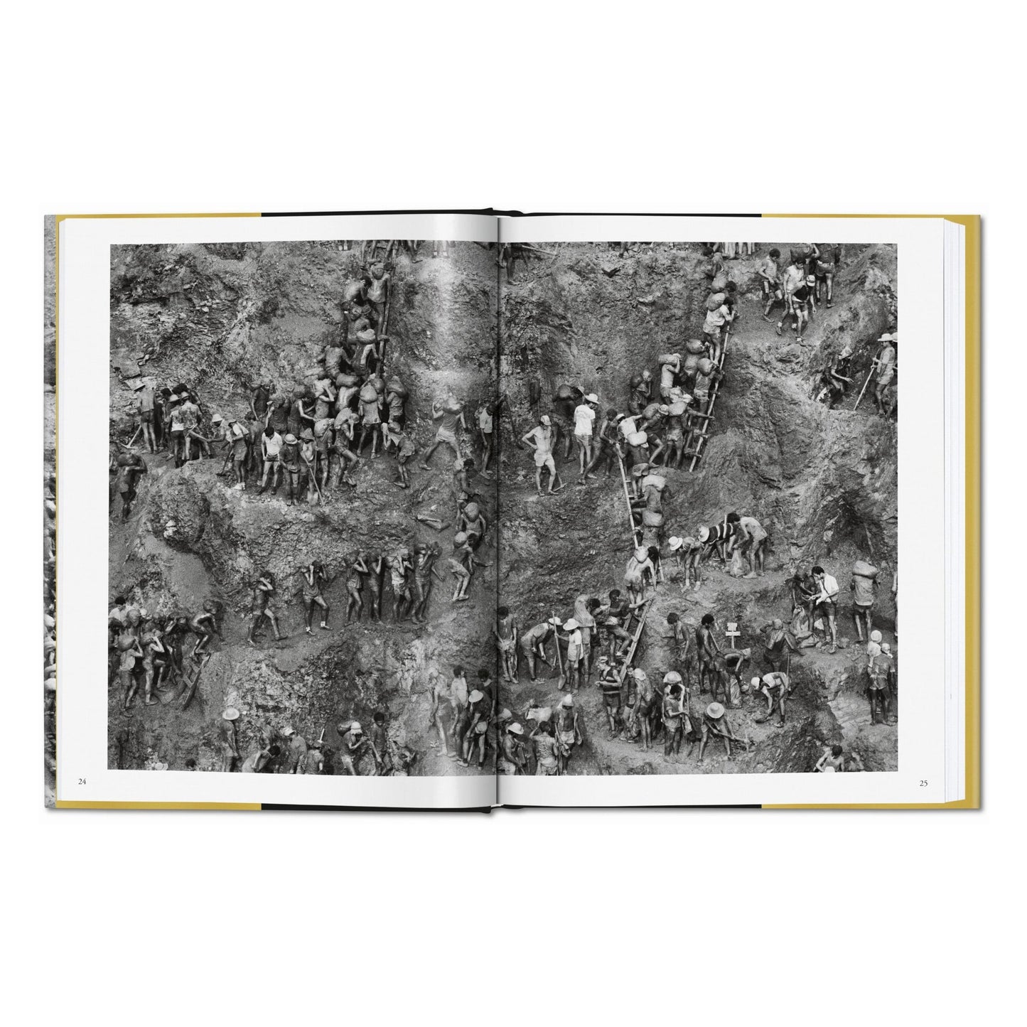 Sebastião Salgado. Gold (German, French, English)