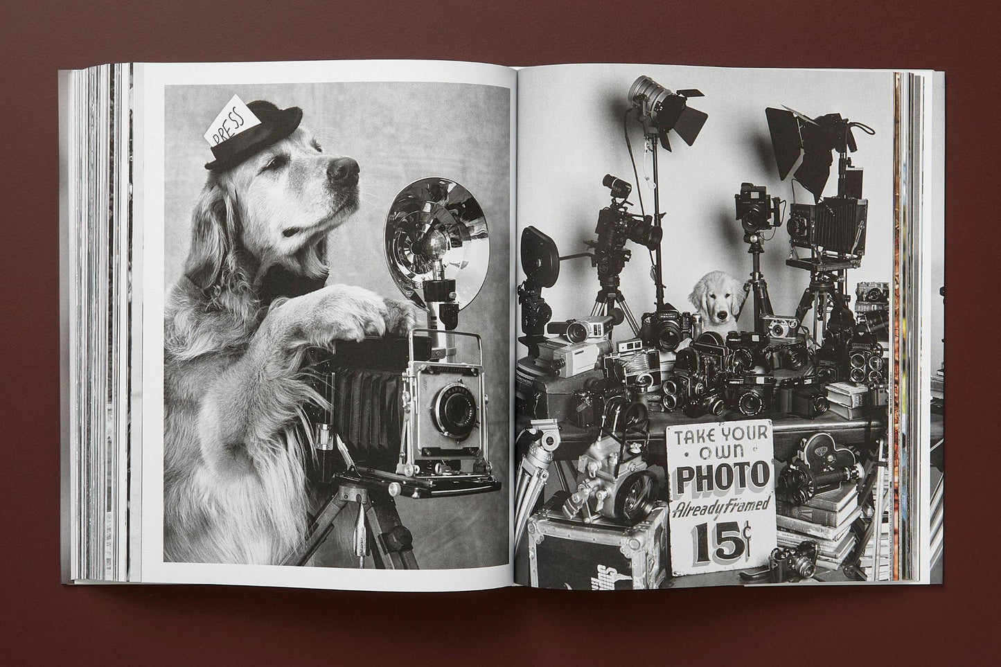 Bruce Weber. The Golden Retriever Photographic Society. Art Edition No. 1–100 ‘Little Bear Ranch, Montana, 1996’ (German, French, English)