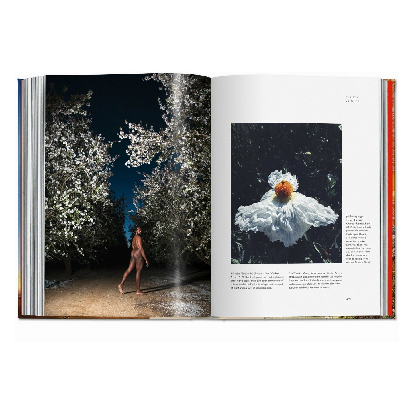 Magie des plantes. La Bibliothèque de l'Ésotérisme (French)