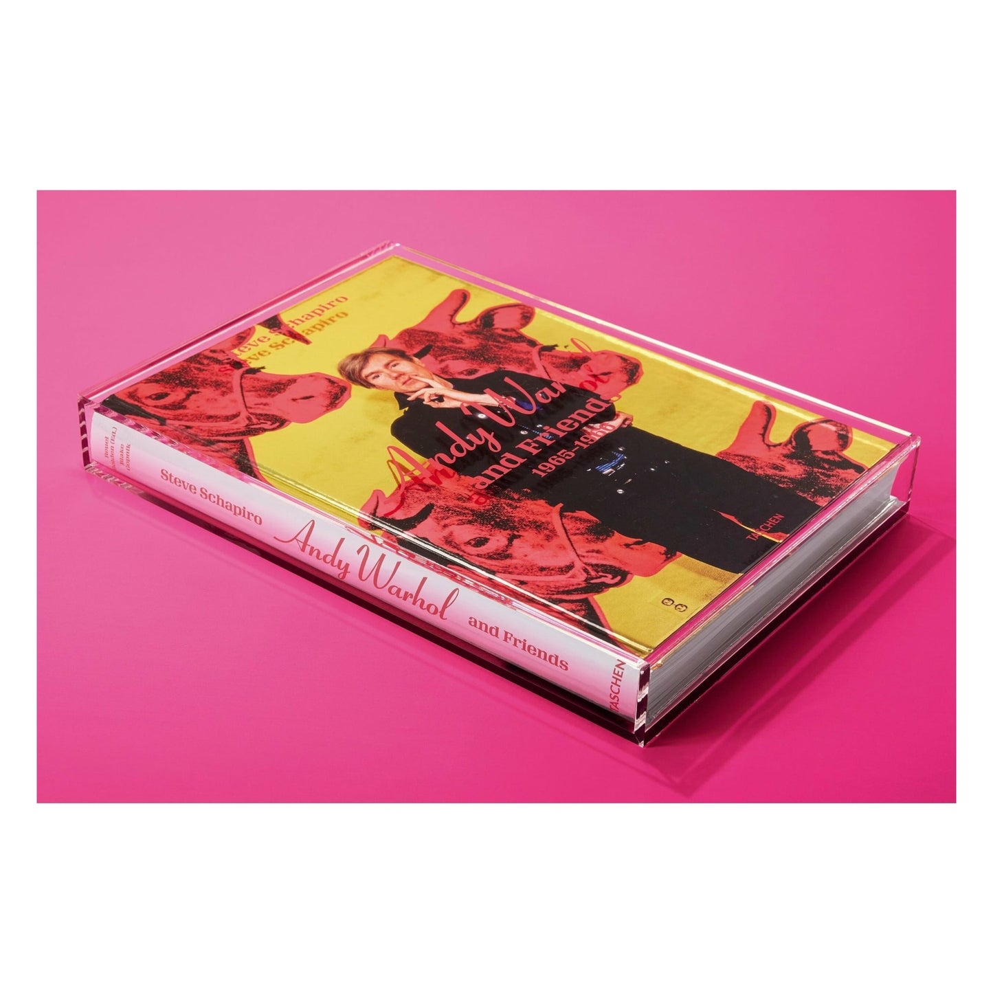 Steve Schapiro. Andy Warhol and Friends (English) (SA)