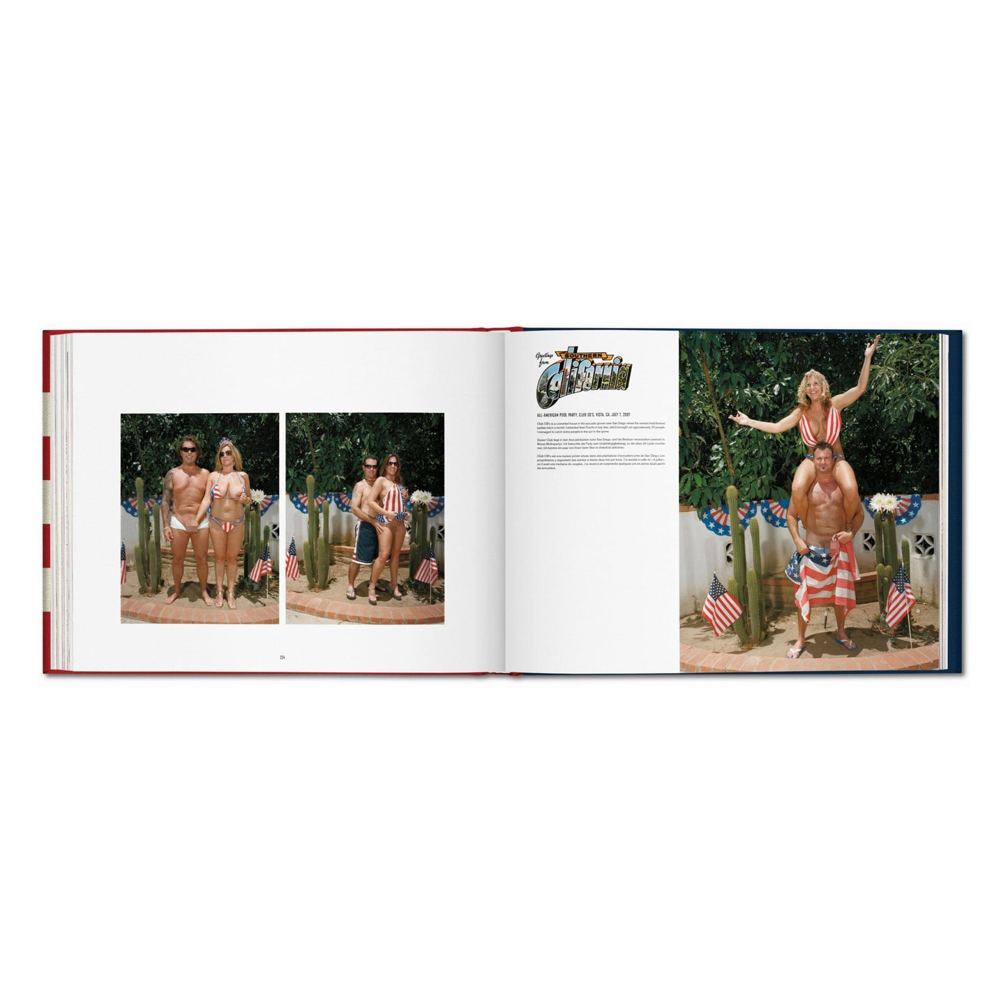 Naomi Harris. America Swings, Art Edition No. 51–100 ‘Barbecue’ (German, French, English) (AP)