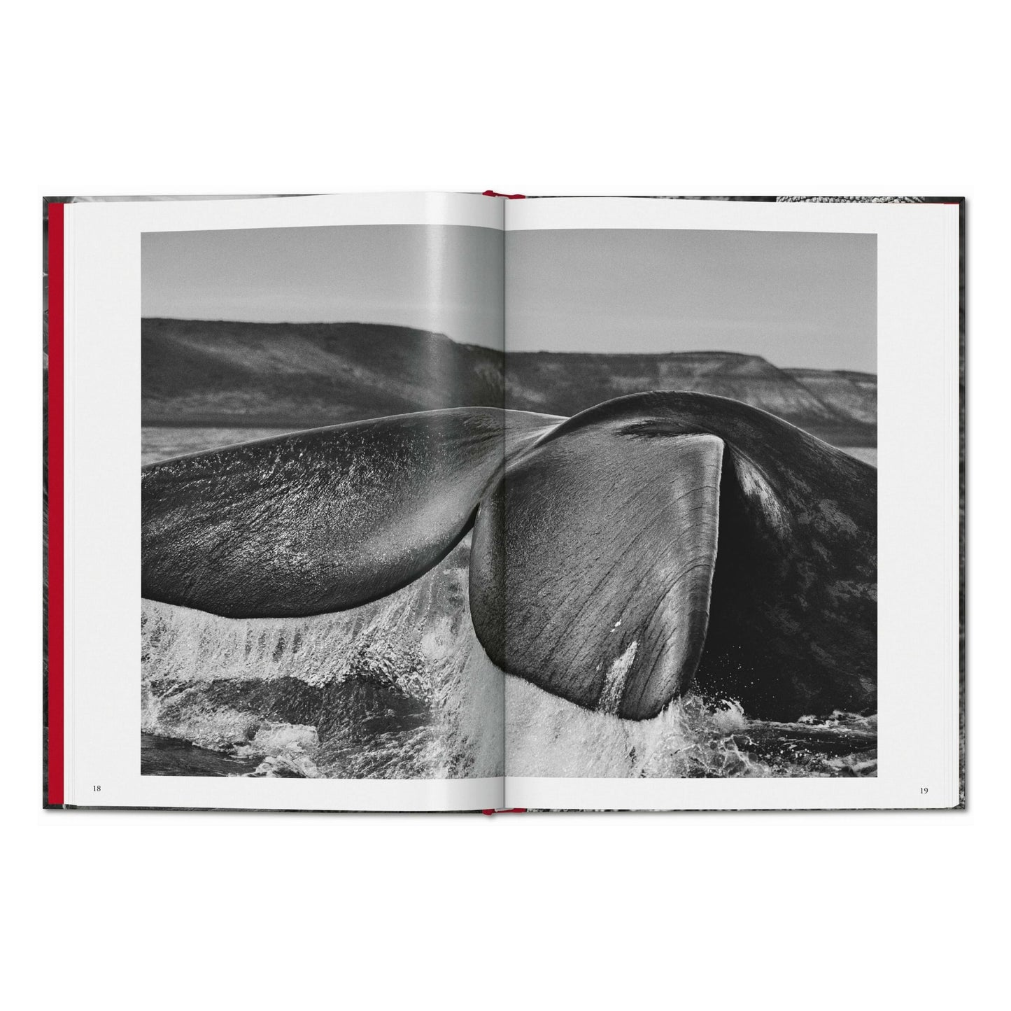 Sebastião Salgado. Génesis (Spanish)