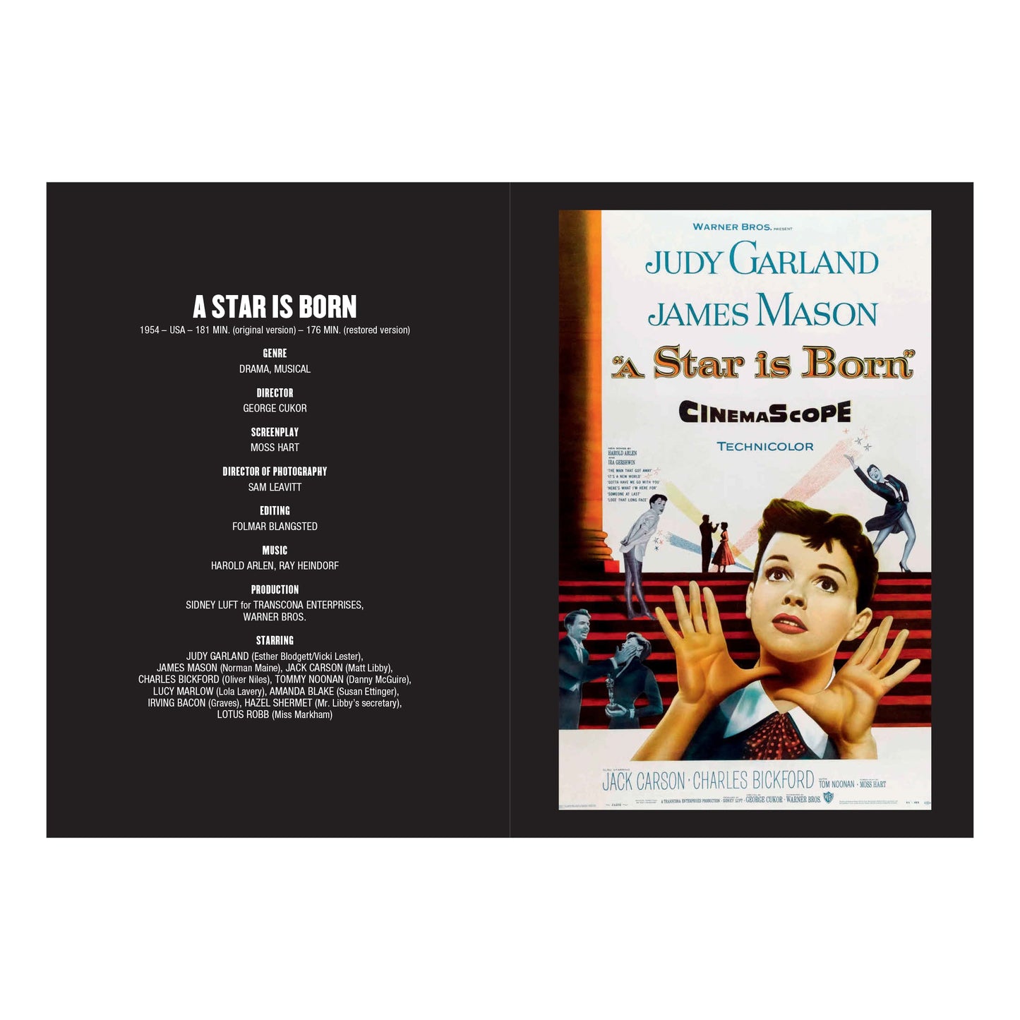100 Movies of the 1950s (English)