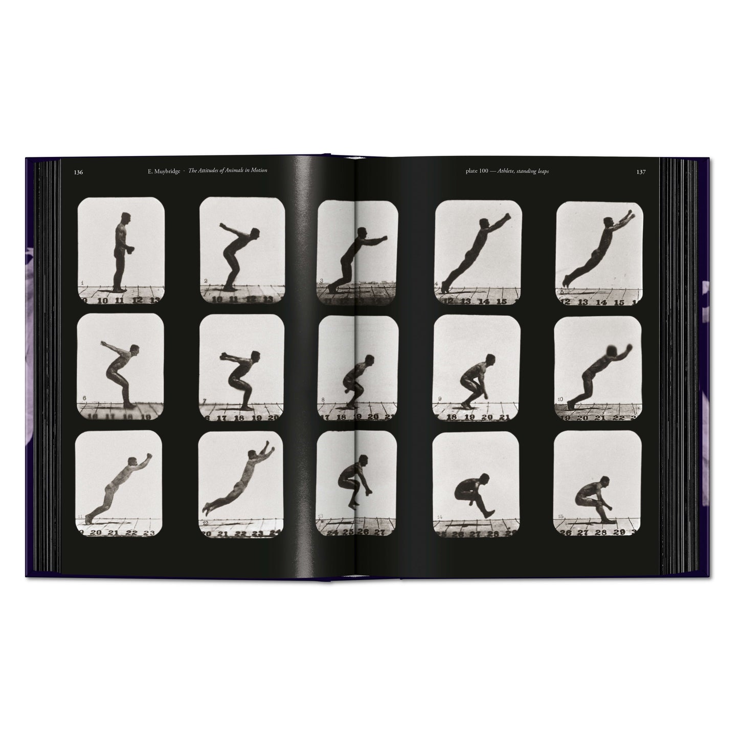 Muybridge. The Human and Animal Locomotion Photographs. 45th Ed. (German, French, English)