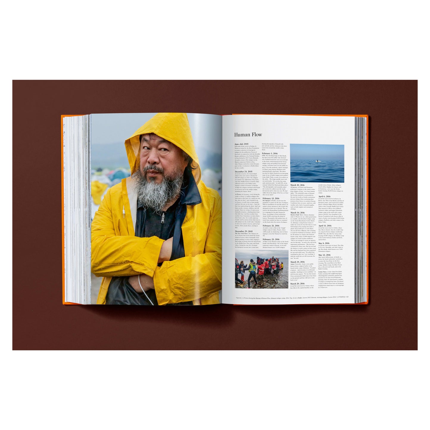 Ai Weiwei. Updated Edition. Art Edition No. 1–100 ‘Ai Weiwei in Pixels’, 2026 (German, French, English)