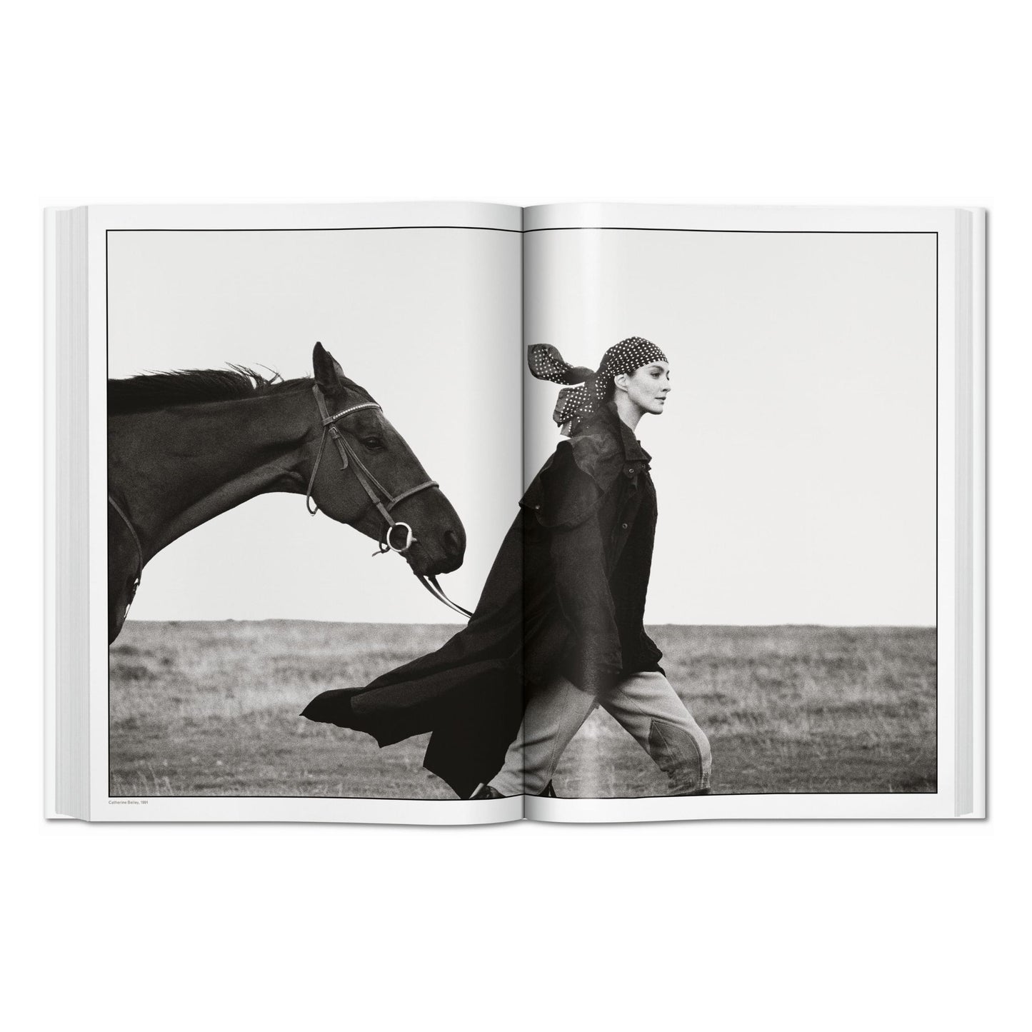 David Bailey (English)