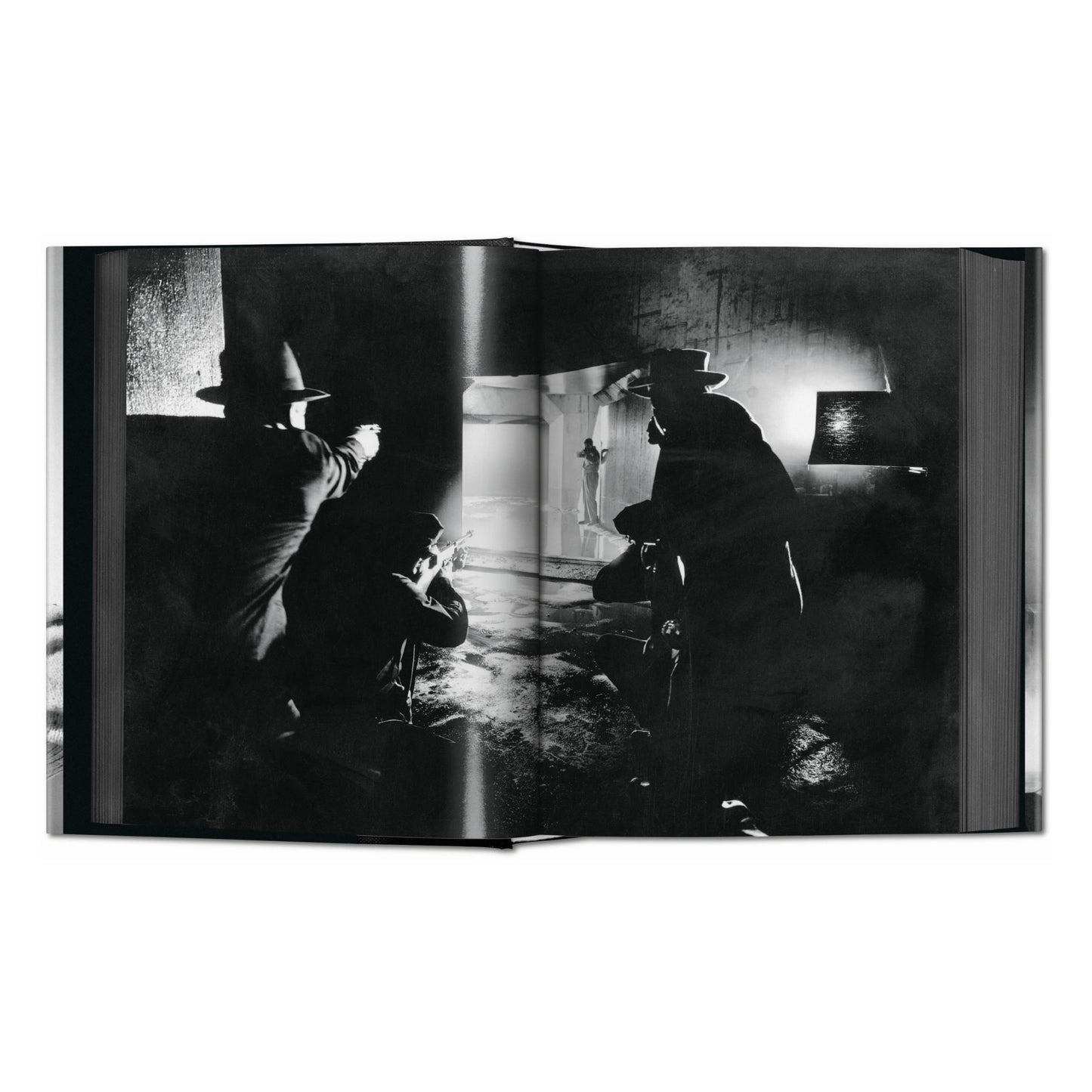 Film Noir (French)