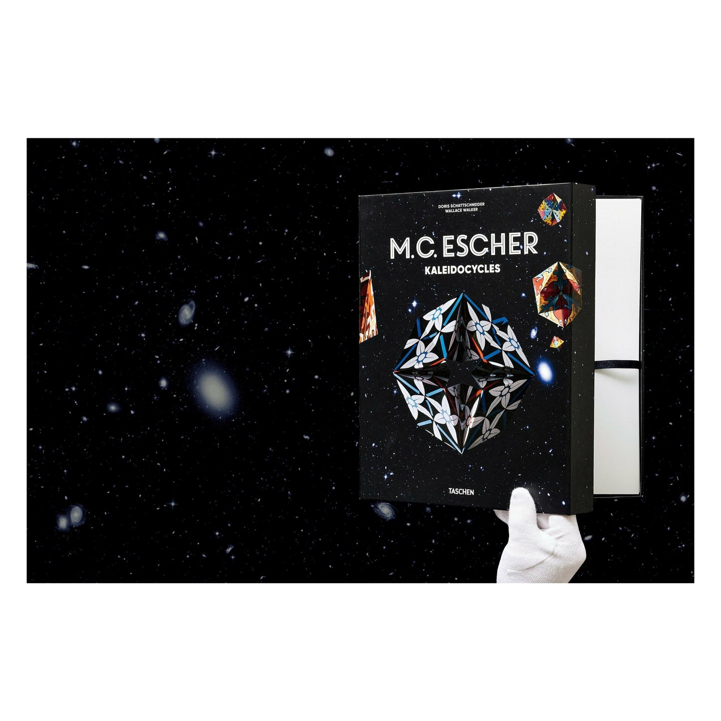 M.C. Escher. Calidociclos (Spanish)
