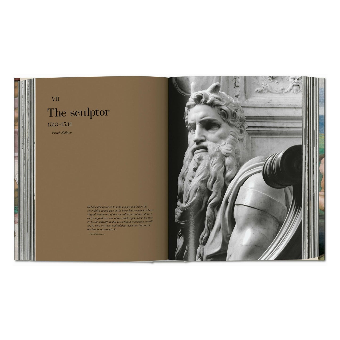 Michel-Ange. L'œuvre complet. Peinture, sculpture, architecture (French)