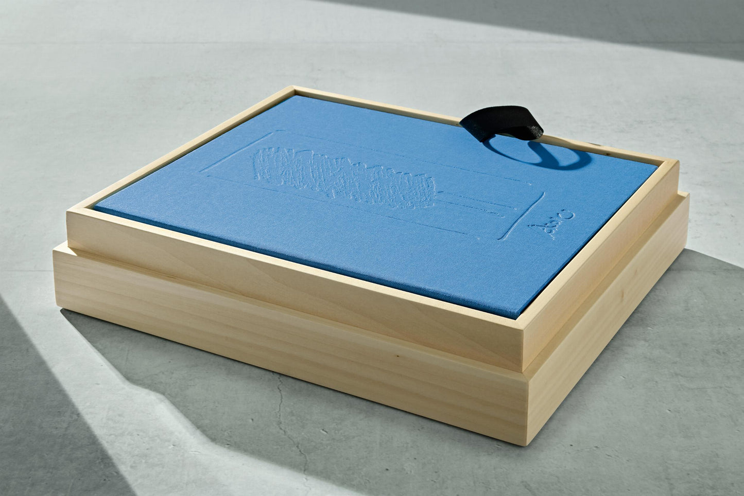 Tadao Ando. Sketches, Drawings, and Architecture. Art Edition (German, French, English)