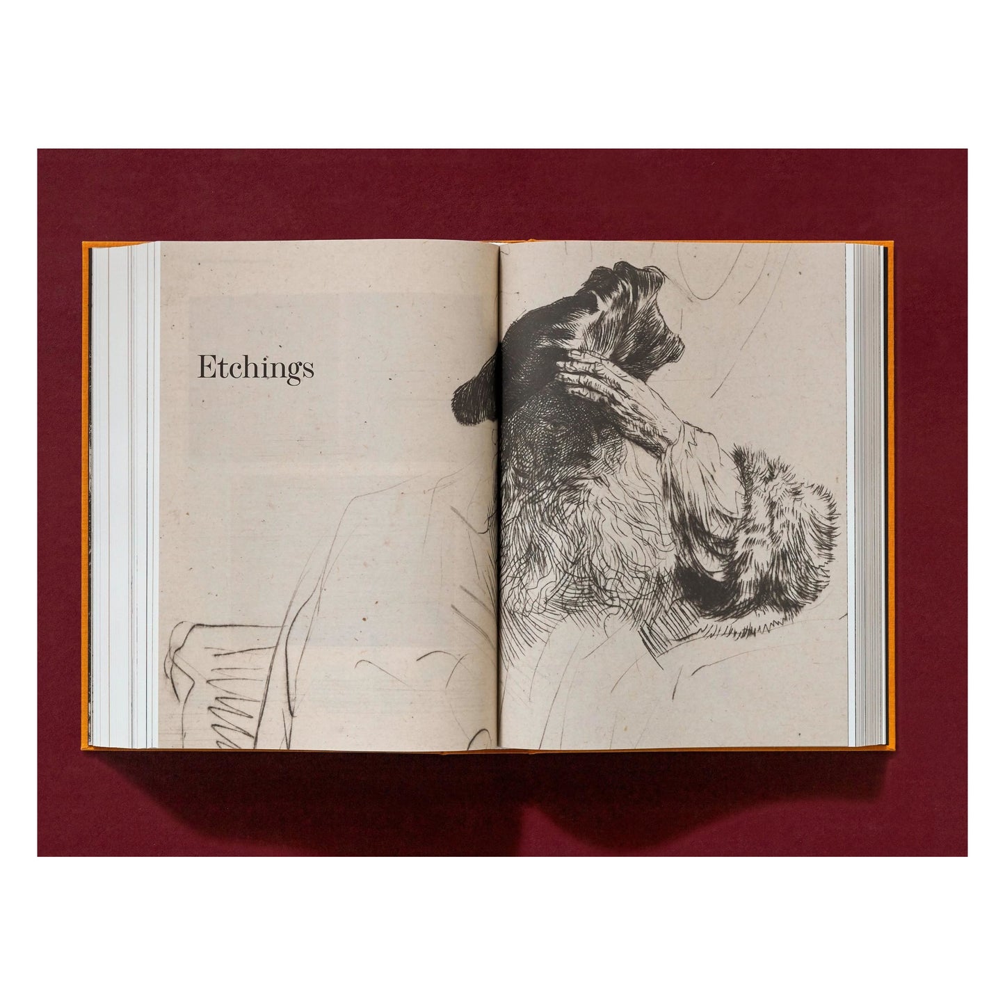 Rembrandt. The Complete Drawings and Etchings (English)