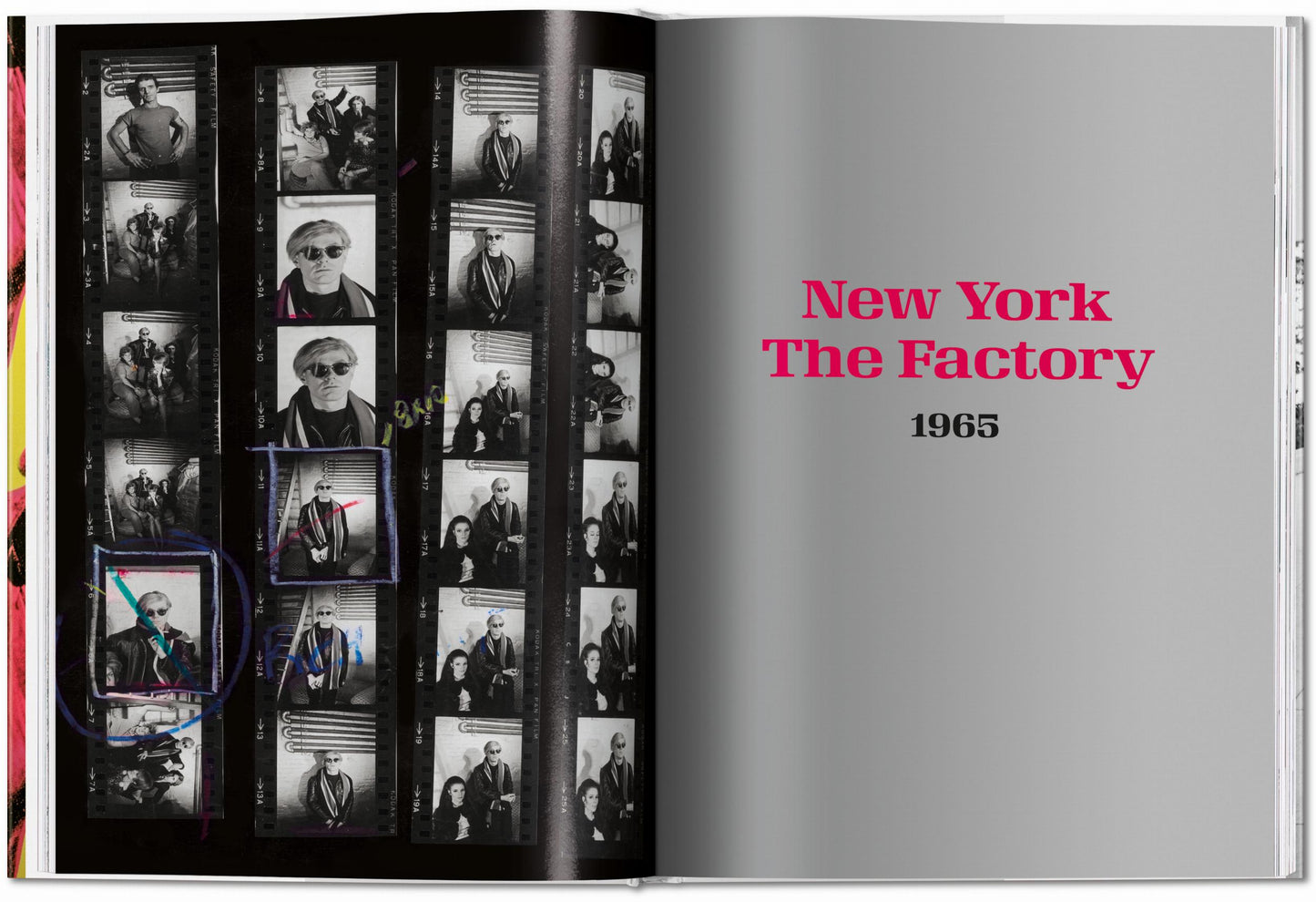 Steve Schapiro. Andy Warhol and Friends (English)